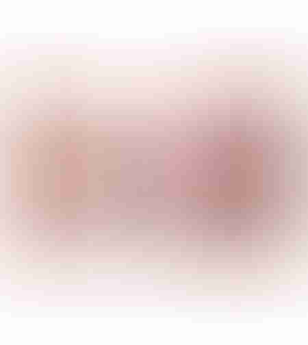 maybelline eyeshadow palette-the blushed nudes