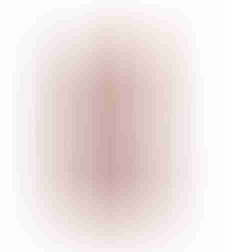 ANASTASIA Matte Lipstick Warm Taupe