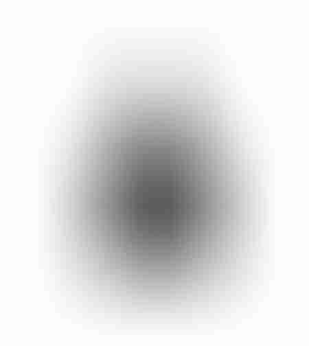 nitro platinum