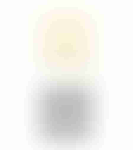 goldenrose cc cream correcting primer
