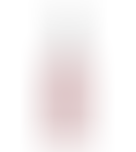 inglot refreshing face mist dry