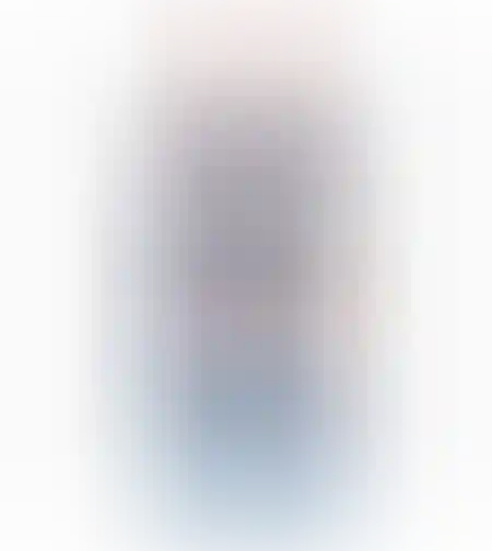 מיכל אמישראגז