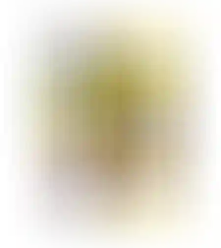 גליל מטליות רב שימושיות שייני