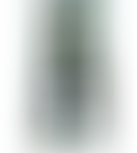 מראה פנימית + תפס 27 ס