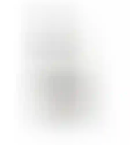 תכשיר לניקוי וחידוש הרובה MD22