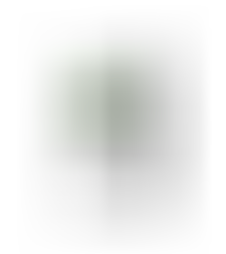 דיסק פנימי SEAGATE BARRACUDA ST4000DM004 4TB 3.5 SATA