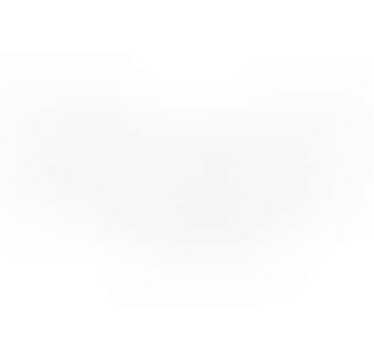 ממיר קטליטי סילברדו 2013