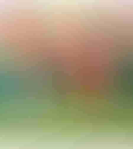 مفاجأة في حديقة الحيوانات - كتاب صوتي