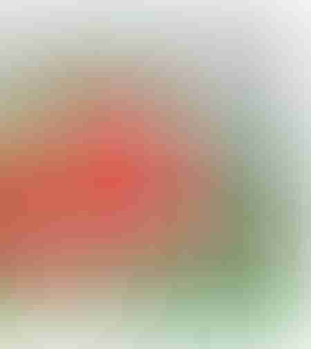 حيواناتي في المزرعة - كتاب الأحجية الكبيرة