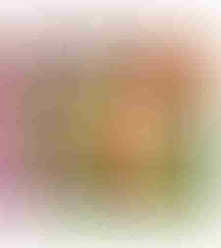 من يعيش في المزرعة ؟ - أين تعيش الحيوانات ؟