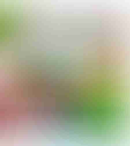 أصدقائي الحيوانات - كتاب الاحجية الكبيرة