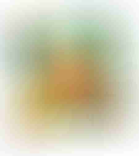 الغابة