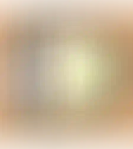 התיבה הקסומה