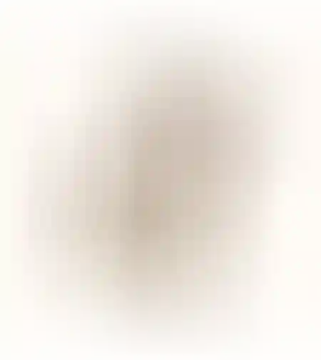 מנורת לילה שועל