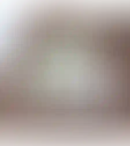 הבית הקטן