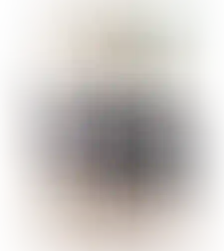 כסא בר דגן סטאר