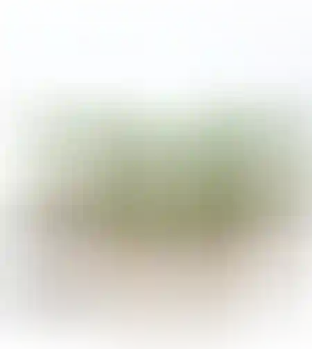 פרצופים עם צמחיה