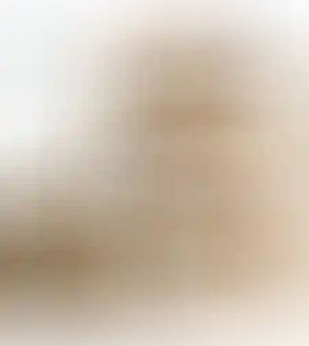 הדום מעור דגם ספארי