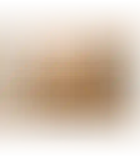 מזנון מוהבי