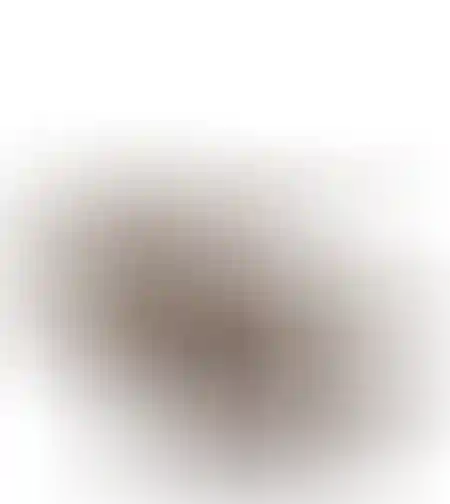 צב עץ ארלו