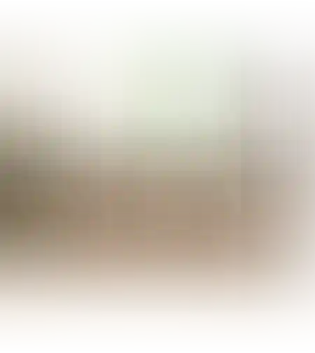 מזנון סינגפור מעץ מנגו