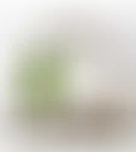 טיימלס ווד מירור נטוראל L