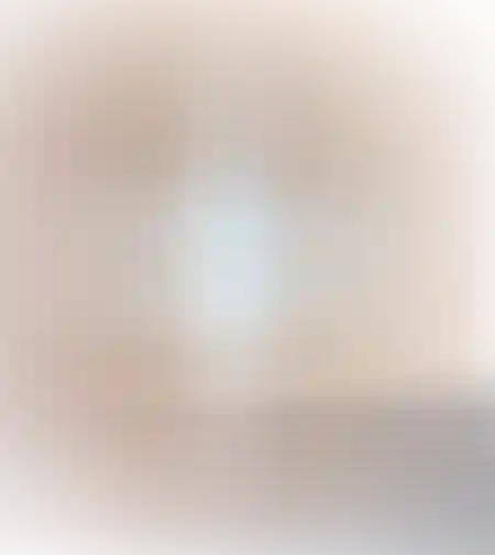 מראה דגם ליז
