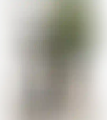 שולחן צד קלאס