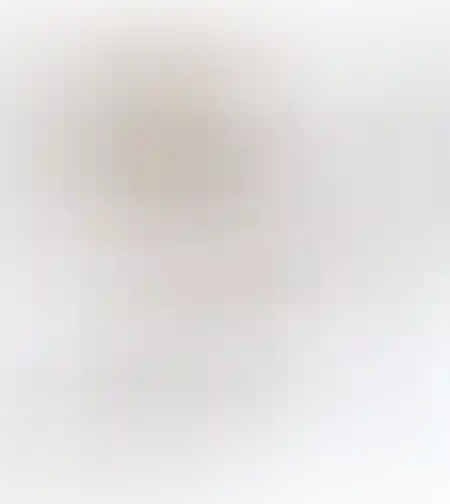 Lesio כסא בר ראטן וברזל