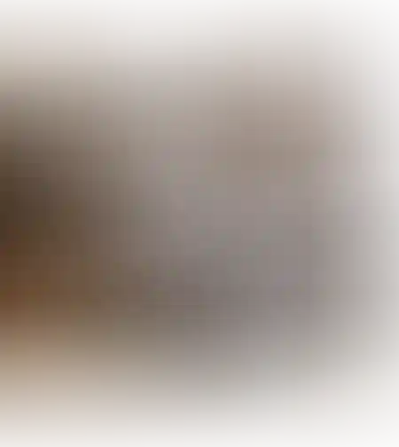 מיטה וחצי דגם אור