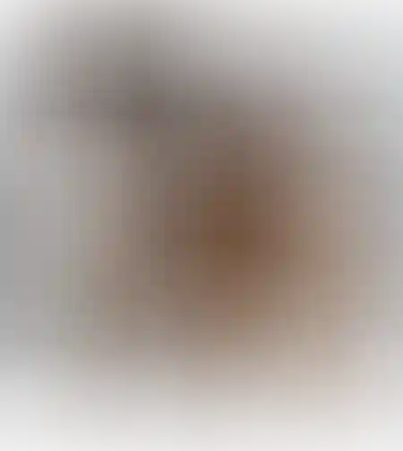 שרפרף דגם טוטם