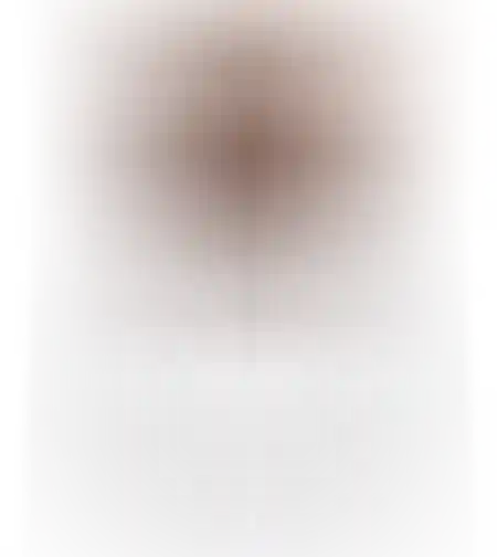 כסא אוכל דגם נורמן