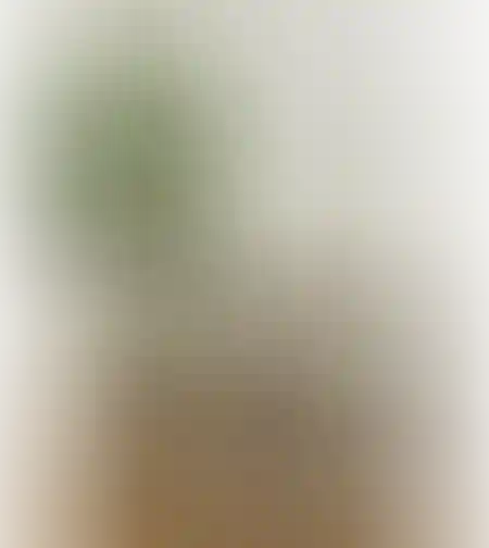 קונסולה מעוצבת לבית