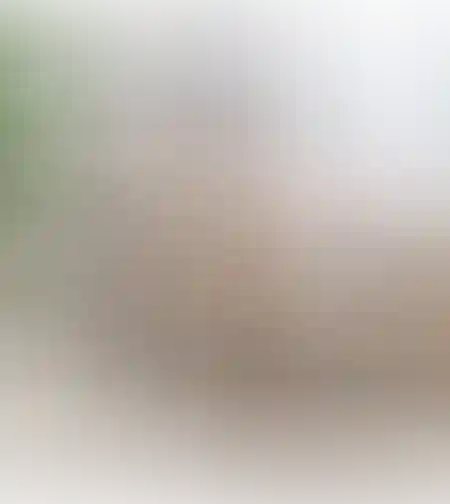 שולחן אנטוורפן נטוראל