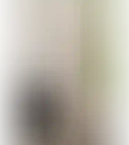 מתלה לוסט נטוראל