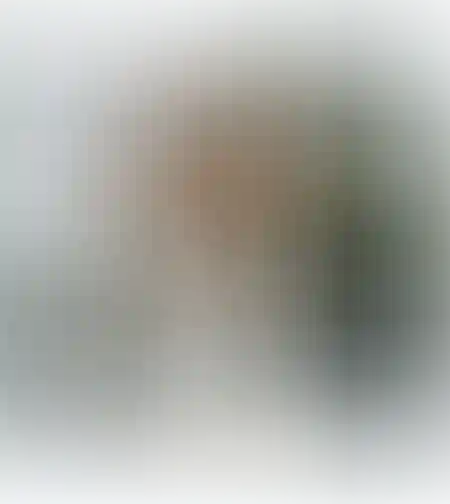 פסל עץ טבעי אלמנטו