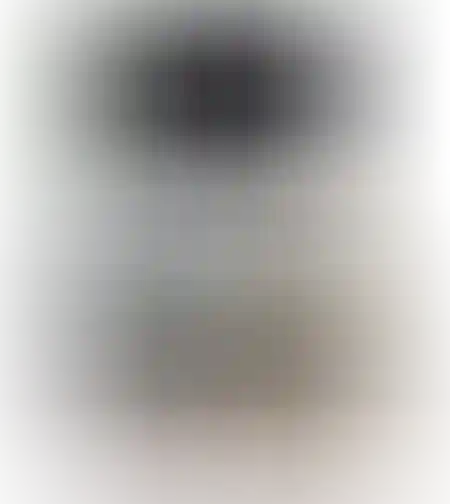 מזנון שחור אלמוג