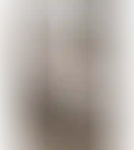 ספסל ריקו ווייט
