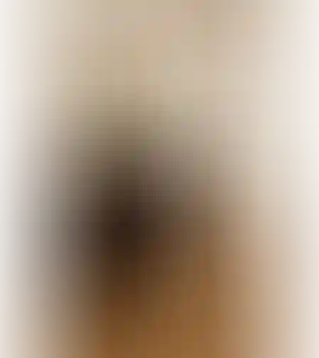שידה דגם גל