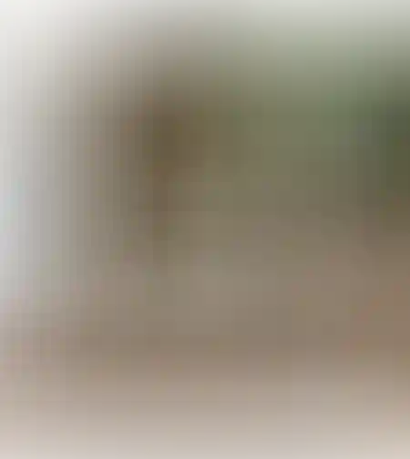 ספסל אחסון שתי וערב קפה
