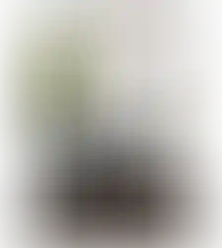 סט 3 מראות מתכת