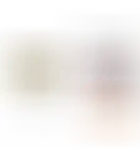 מיטה דו צדדית לכלבים 50 ס