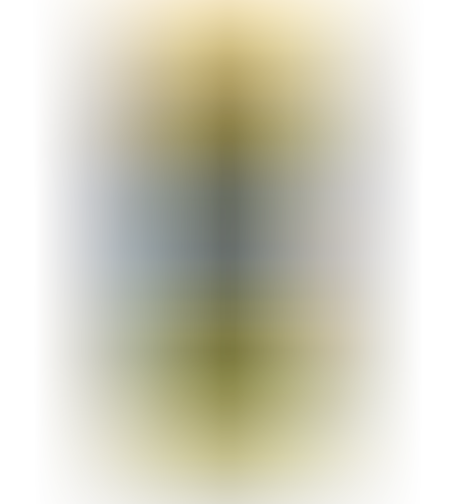 טטרה טטרמין פרו אנרג'י 250 מ