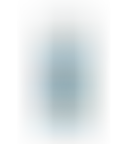 תכשיר לניקוי מסלעות ודקורציות JBL פאוור קלין - JBL Power Clean For Decorations Cleaning