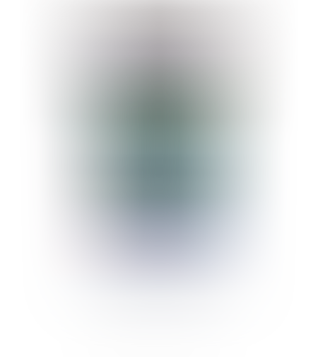 פחם פעיל רואה פוס 1 ליטר + שקית - ROWA Phos Active Carbon 1L + Bag