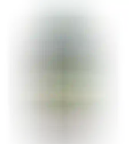 תוסף אשלגן K איזי לייף 500 מ