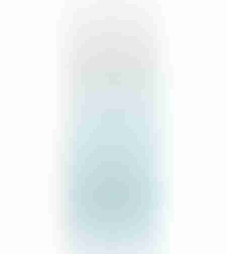 גוף חימום לאקווריום 200 וואט אהיים  -  EHEIM Heater 200W