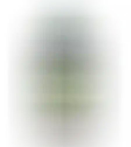 תוסף ברזל Fe איזי לייף פררו 500 מ