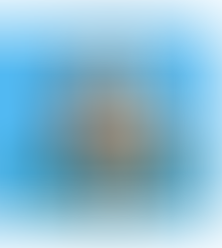 סלעים למסלעה קרמית אקווה קרמיק 10 ק