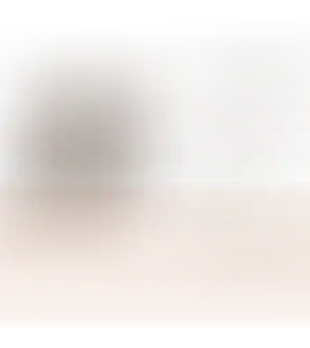 מיטה נרקיס לחתולים וכלבים קטנים 35X50X36H cm